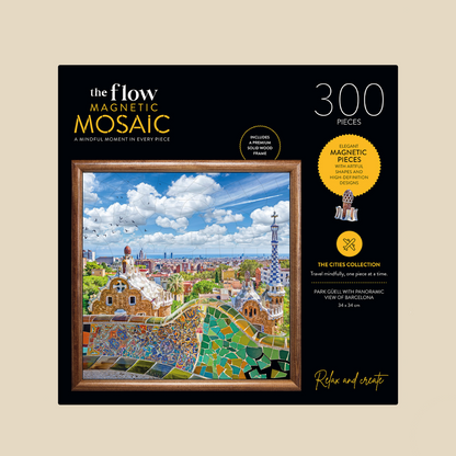 Flow Mosaic 300 Piece Jigsaw with Frame - Barcelona