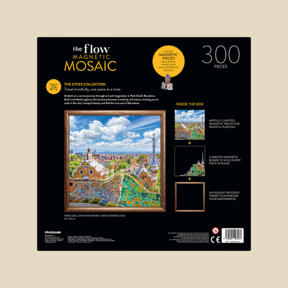 Flow Mosaic 300 Piece Jigsaw with Frame - Barcelona