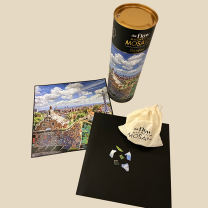 Flow Mosaic 300 Piece Jigsaw - Barcelona
